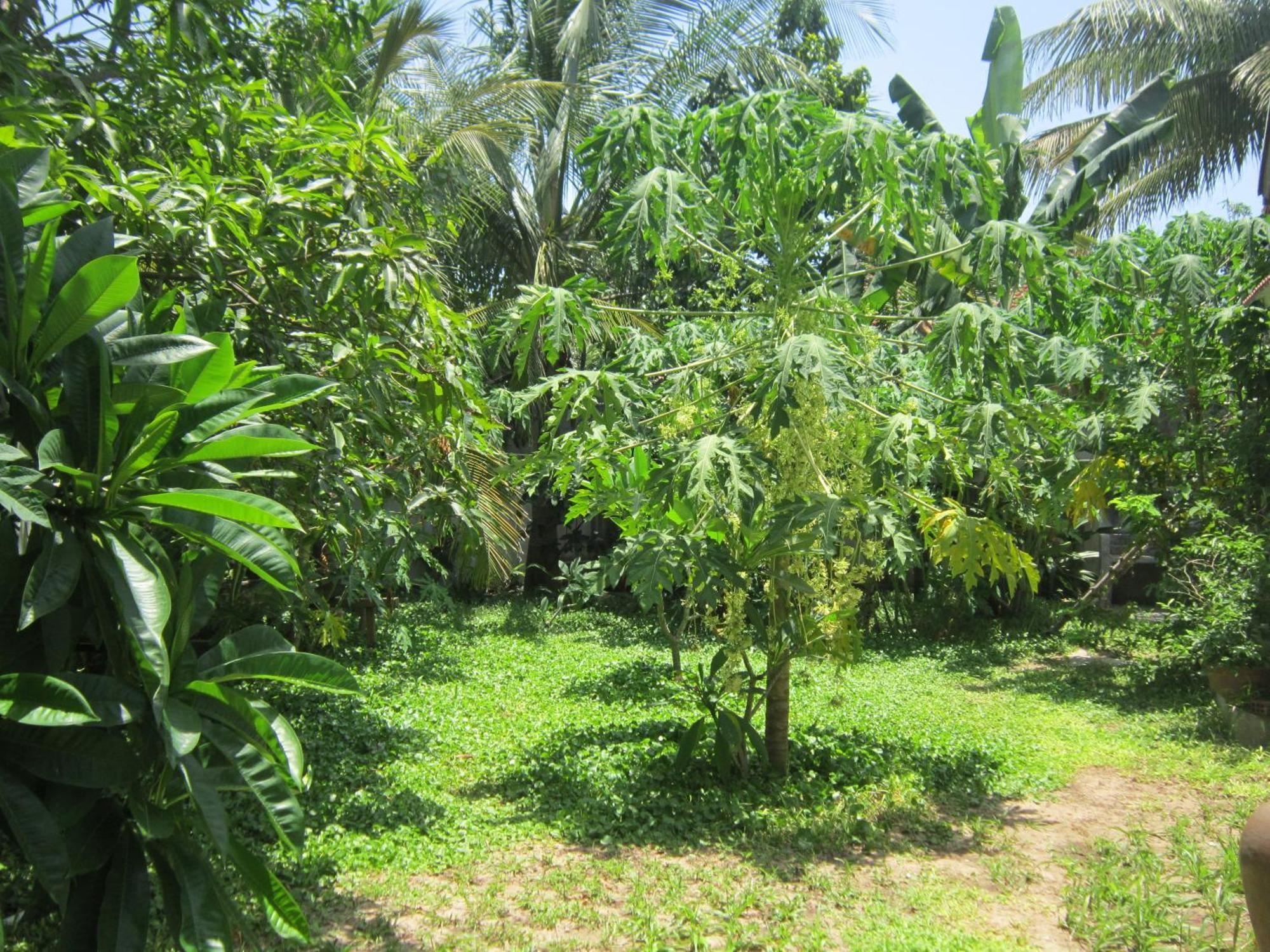 Local Beach Homestay Hoi An Exterior foto